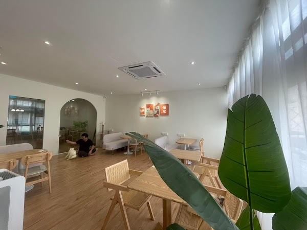 Little Belly Pet Pet