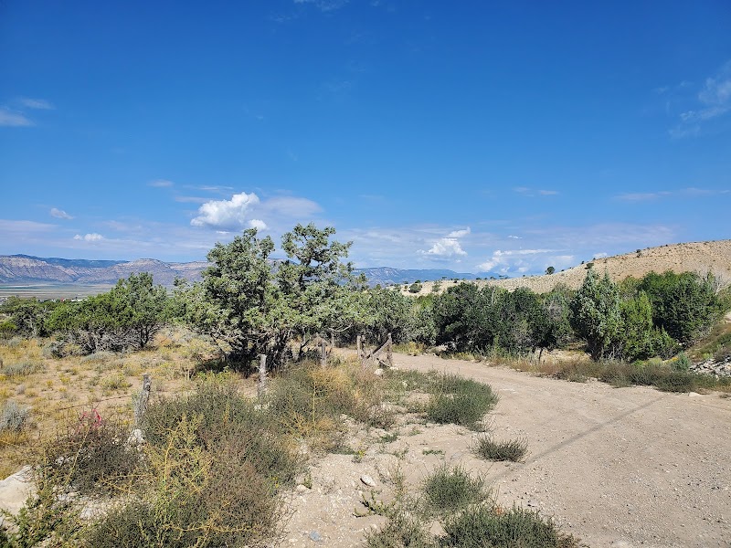 Allen Howell Disc Golf Course photo 4