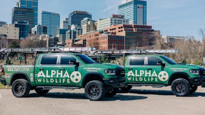 Alpha Wildlife Chattanooga