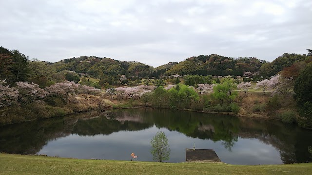 Meisho Golf Club - Photo 5