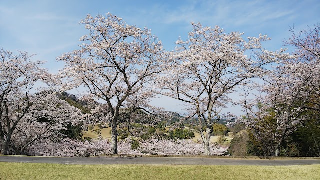 Meisho Golf Club - Photo 6