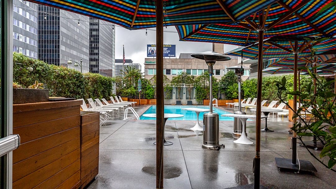The LINE Hotel LA, dog-friendly hotel, photo 2