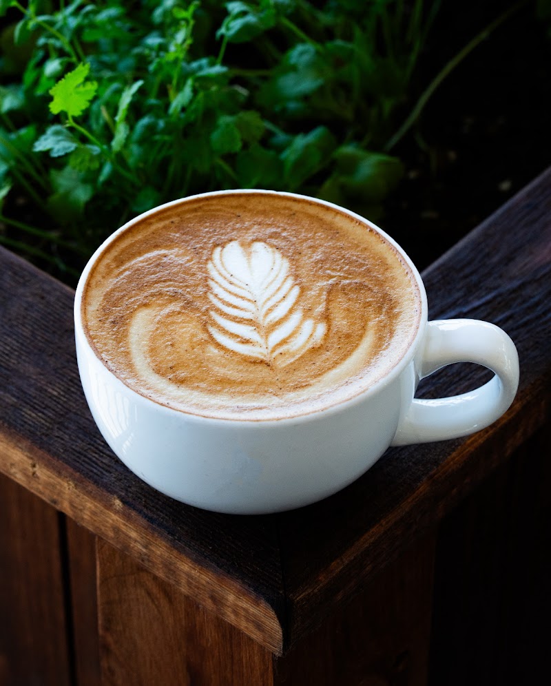 Intuition Coffee + Juice photo 4