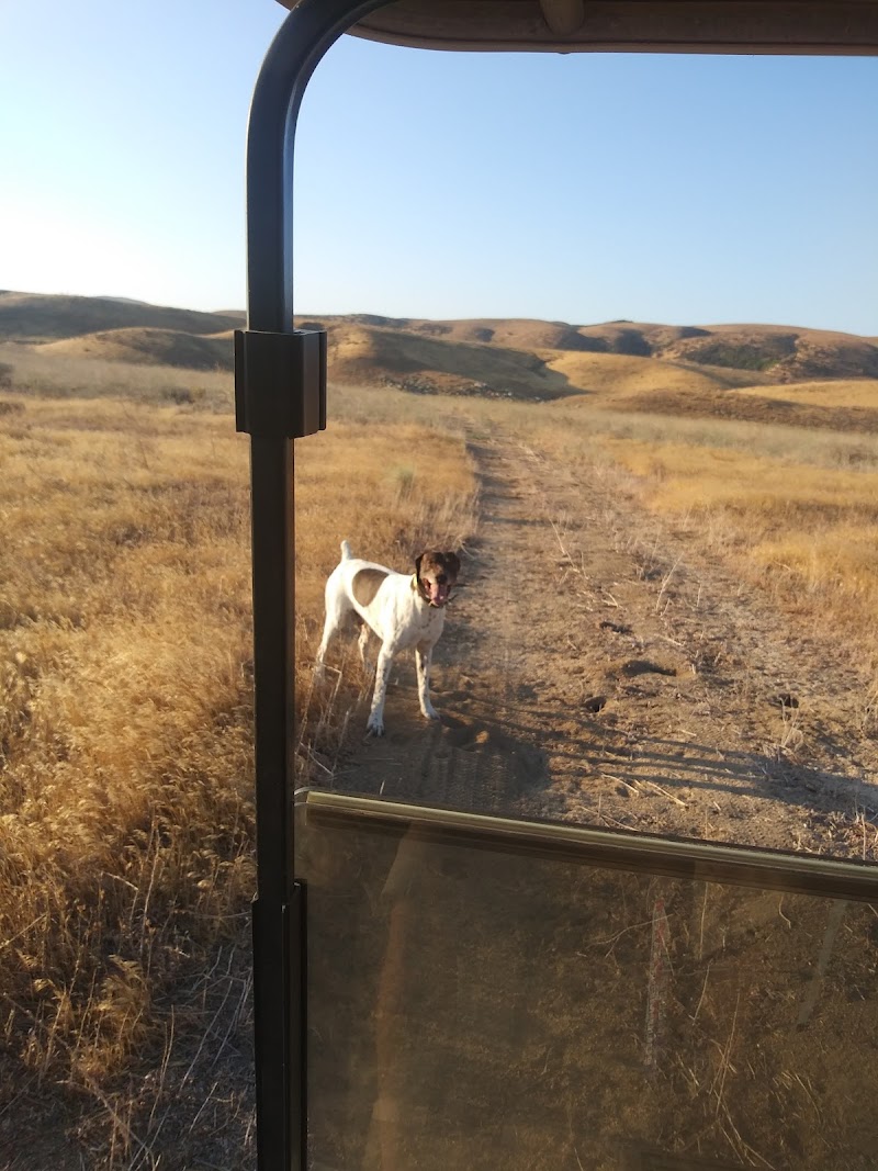 Antelope Valley Sportsman's Club - Photo 2