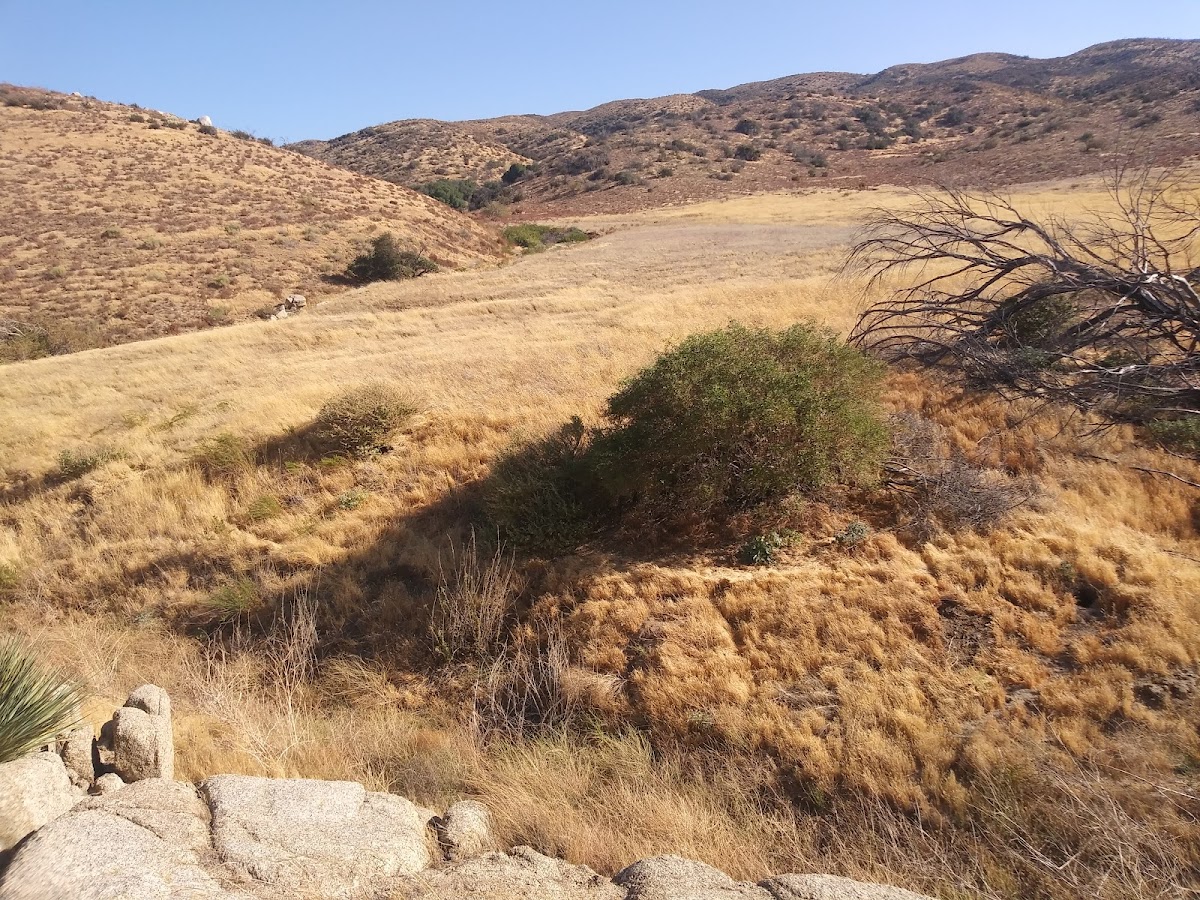 Antelope Valley Sportsman's Club