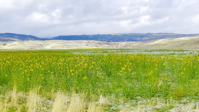Antelope Valley Sportsman's Club - Photo 3
