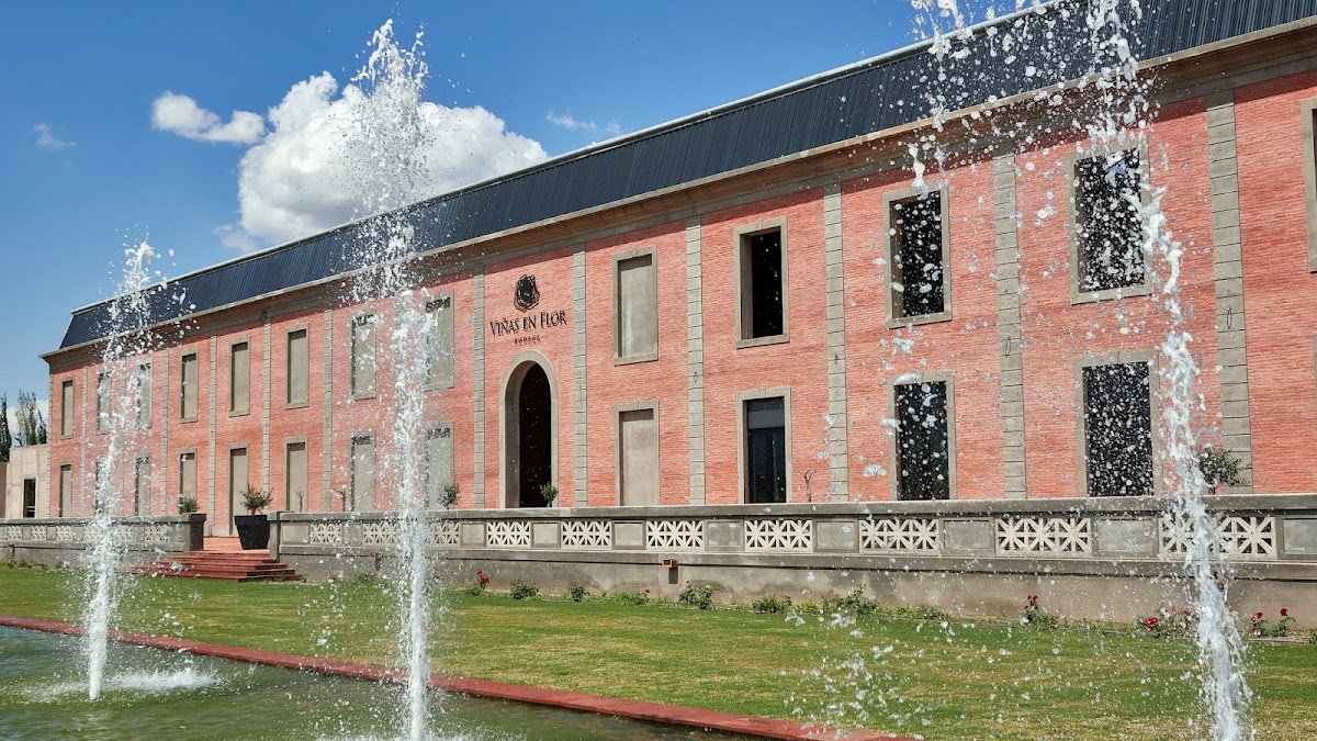 Viñas en Flor Bodega