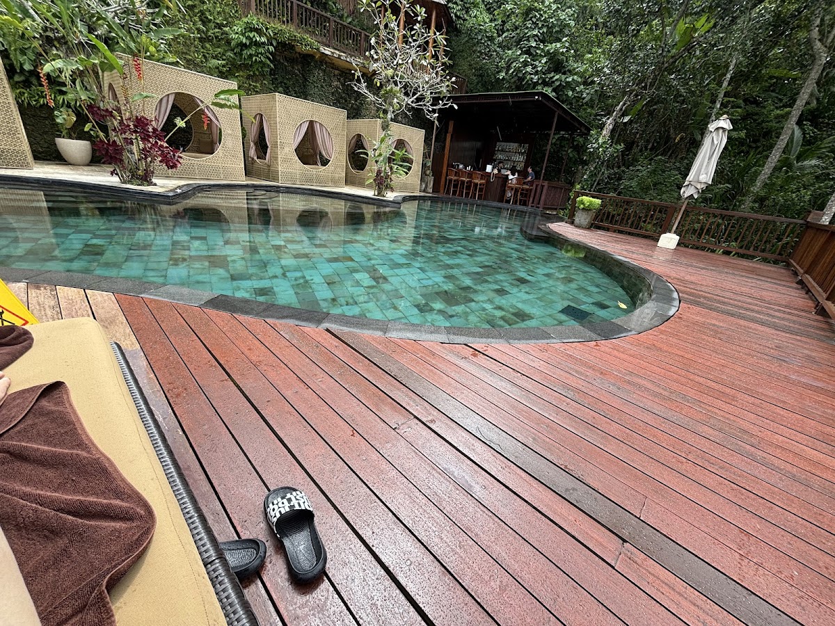 Nandini Jungle by Hanging Gardens — 4