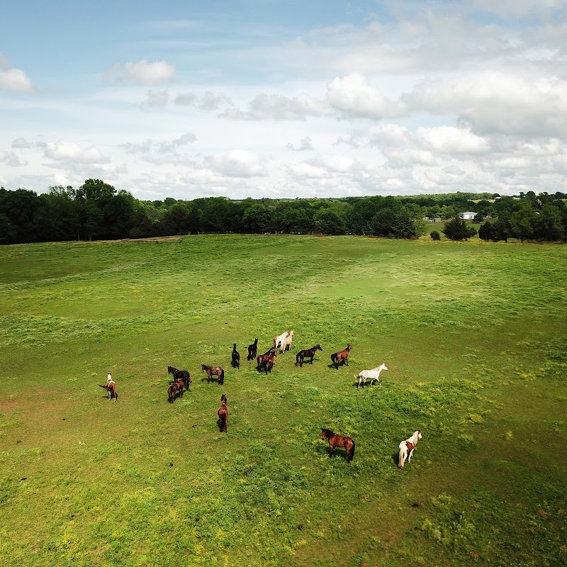 Sunshine Acres Ranch - Photo 3