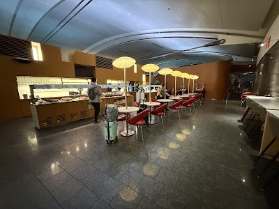 Air Canada Maple Leaf Lounge (Domestic) — Google photo 2