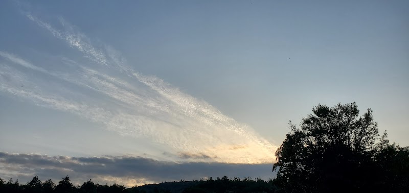 Hunt Farm - Photo 3