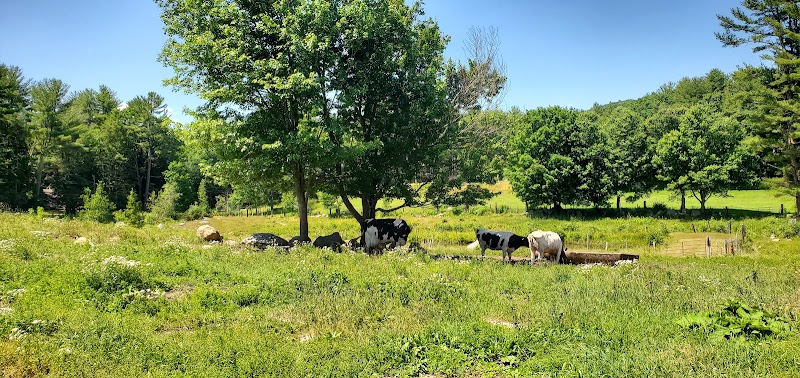 Hunt Farm - Photo 4