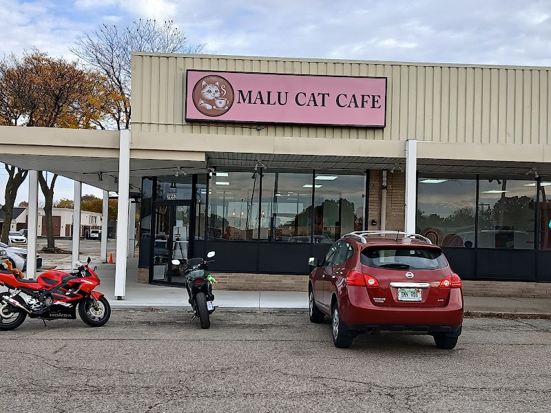 Malu Cat Cafe