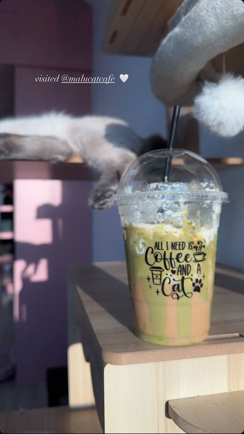 Malu Cat Cafe photo 2