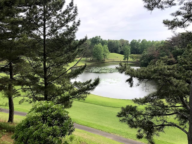 Central Golf Club Aso Course - Photo 4