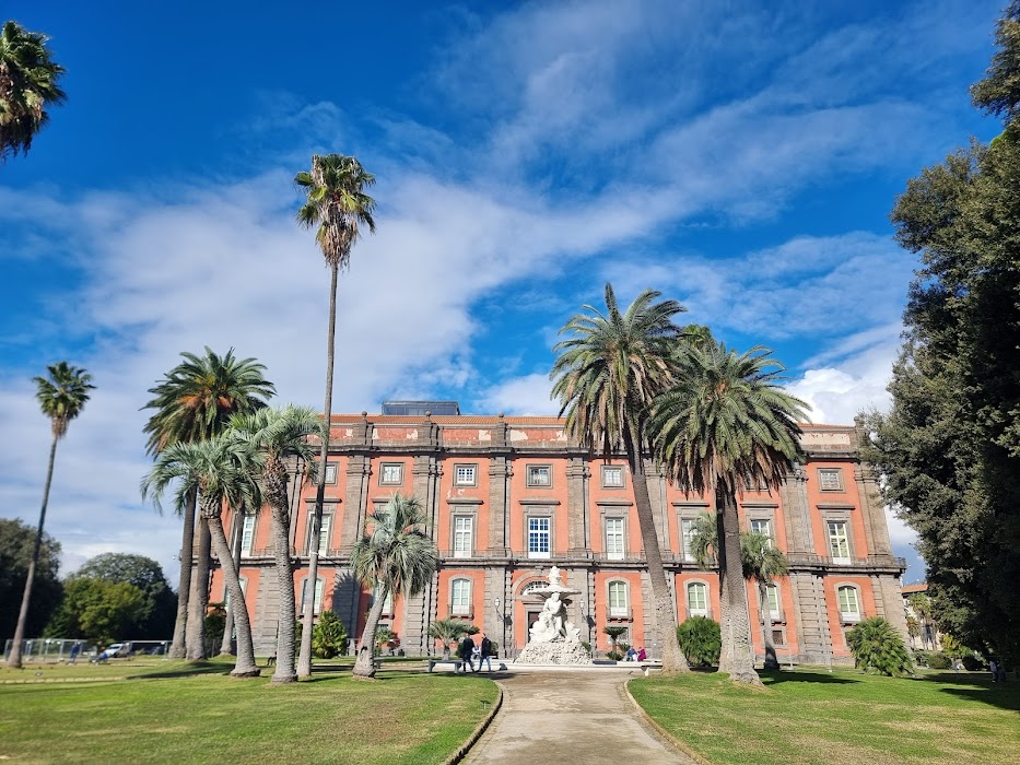 Bosco di Capodimonte fotoğraf 1