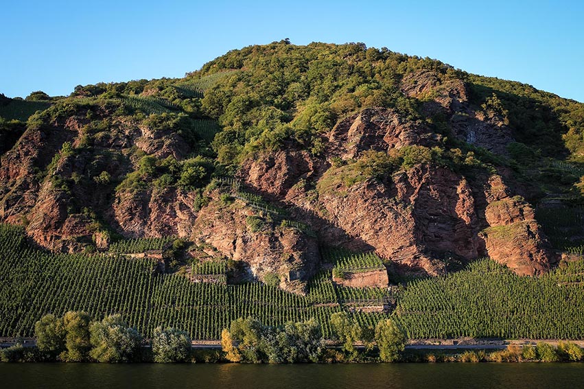 Weingut Dr. Loosen