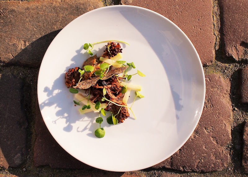 Studio Twój Kucharz