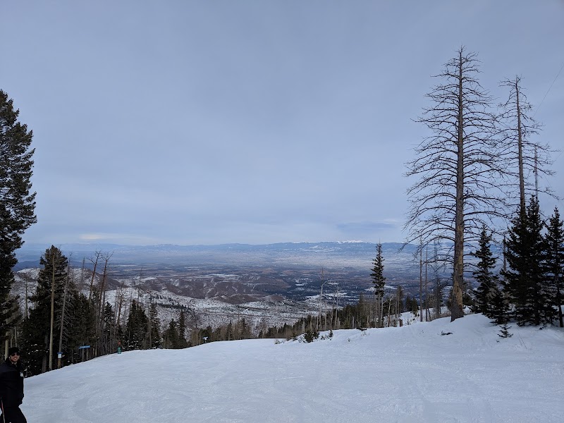 Pajarito Mountain Cafe photo 4