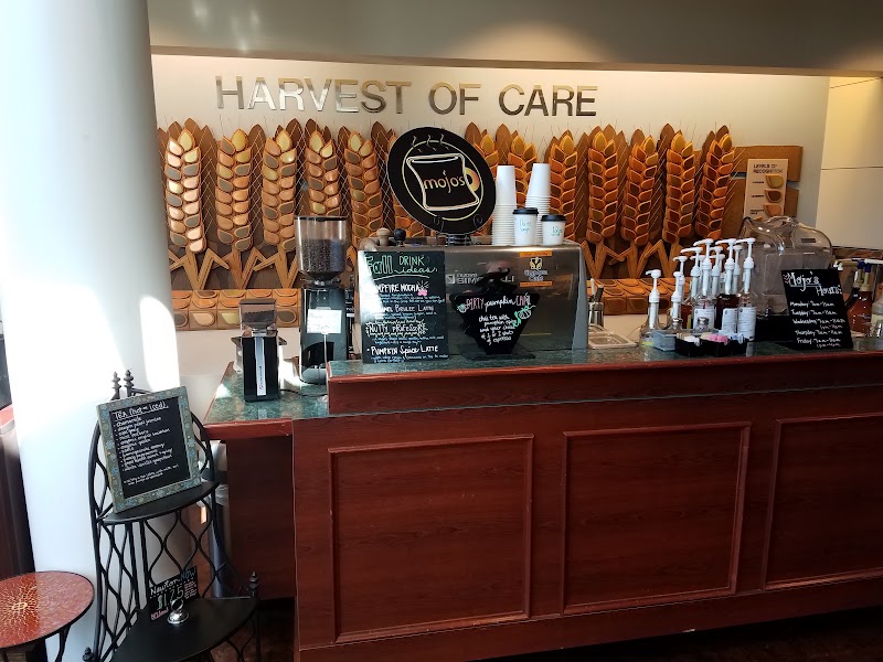 Mojo's Coffee Bar photo 1