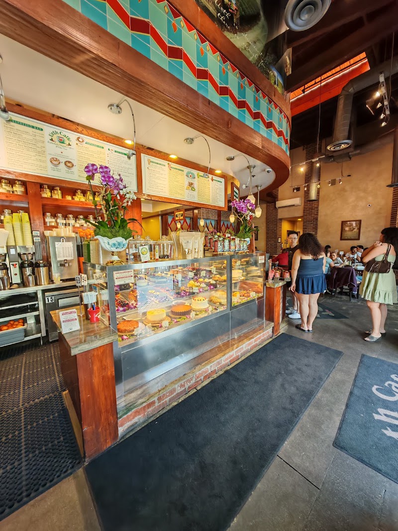 Urth Caffe photo 2