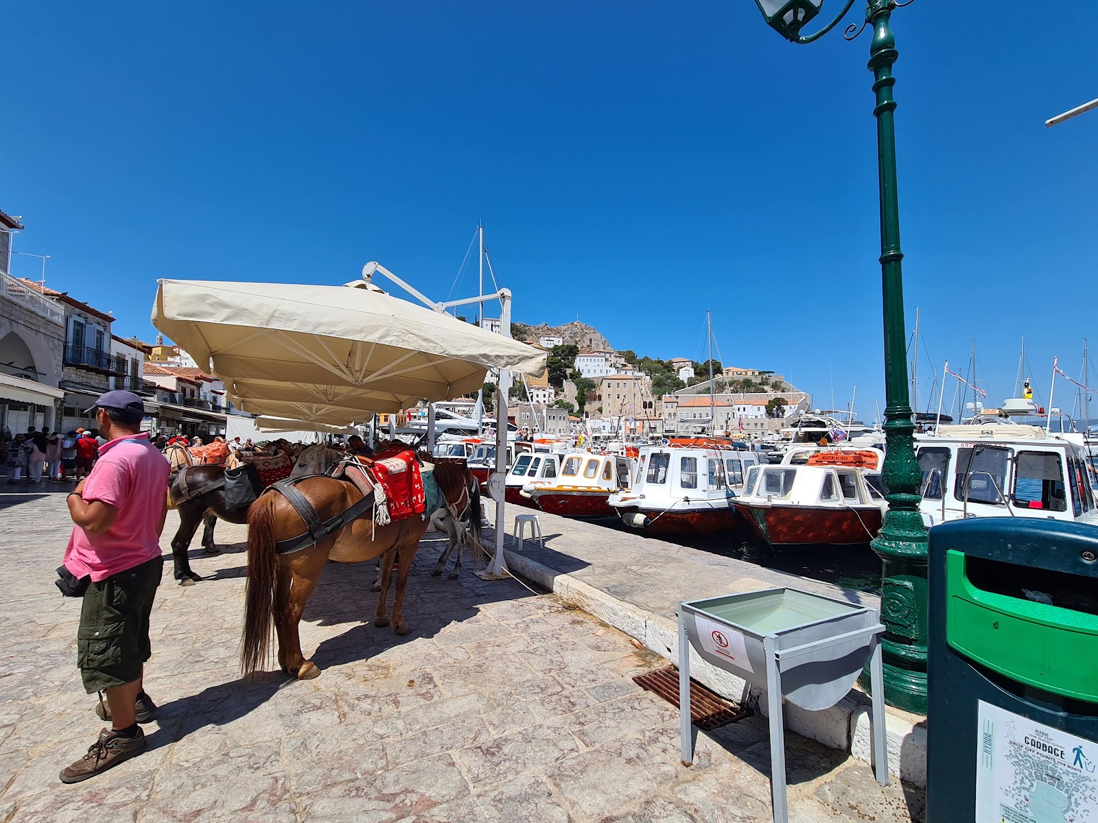 Best Dog-Friendly Hotels in Hydra and Spetses, Greece