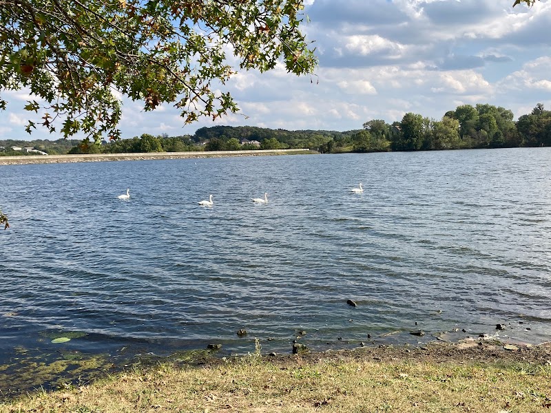 Binder Lake - Dam Disc Golf Course photo 1