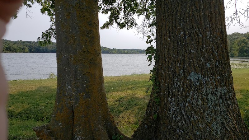 Binder Lake - Dam Disc Golf Course photo 2