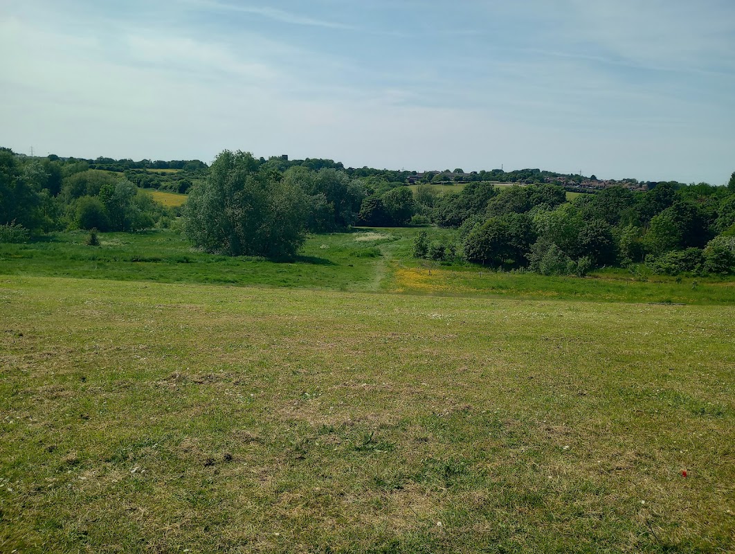 Alverthorpe meadows