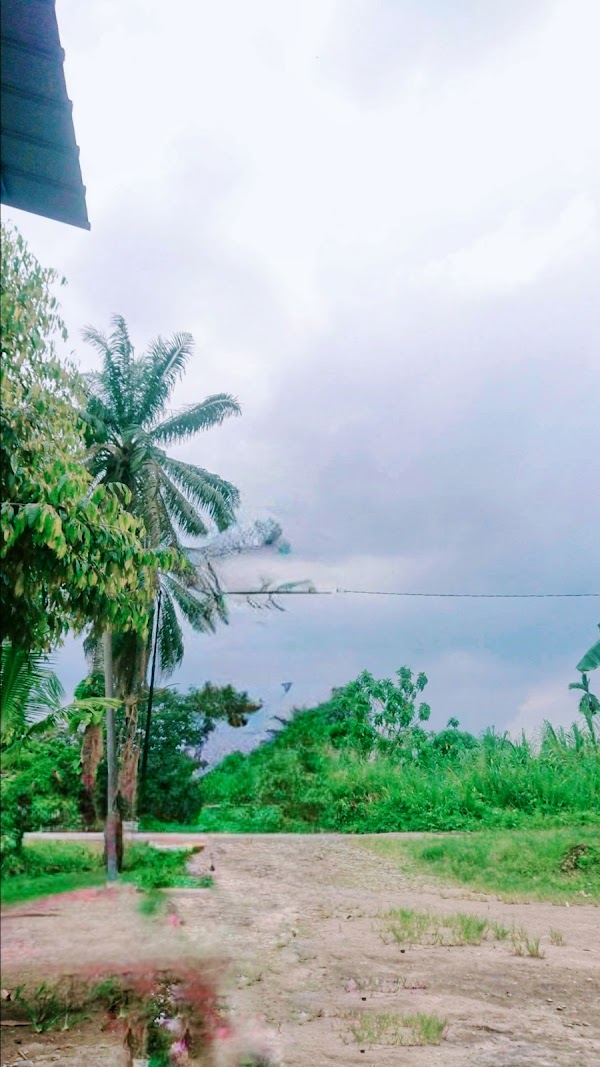 sungai ular kulim - Photo 1