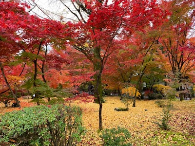 Eikan-do Zenrin-ji - 3