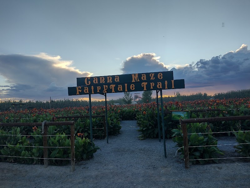 La Union Maze - Photo 5