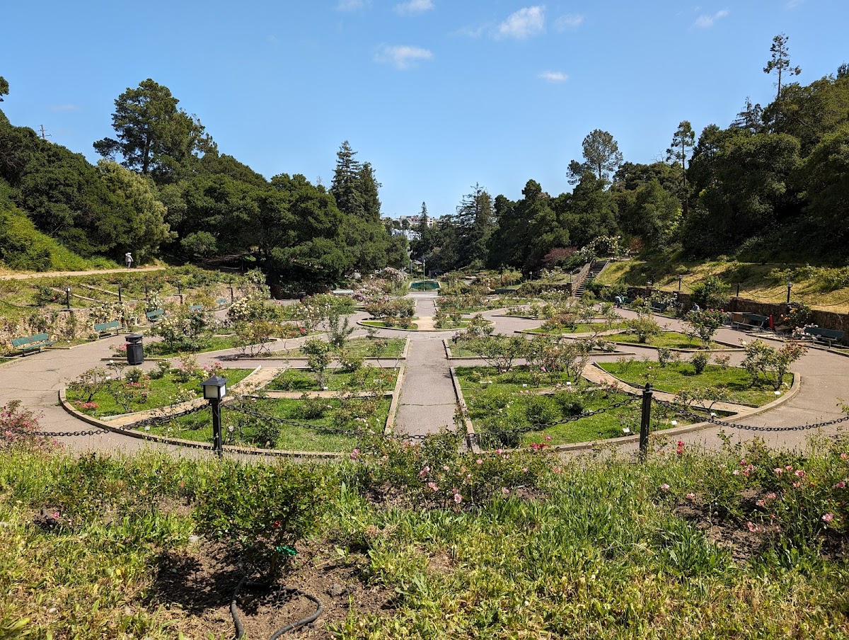Morcom Rose Garden: Google Places image 2