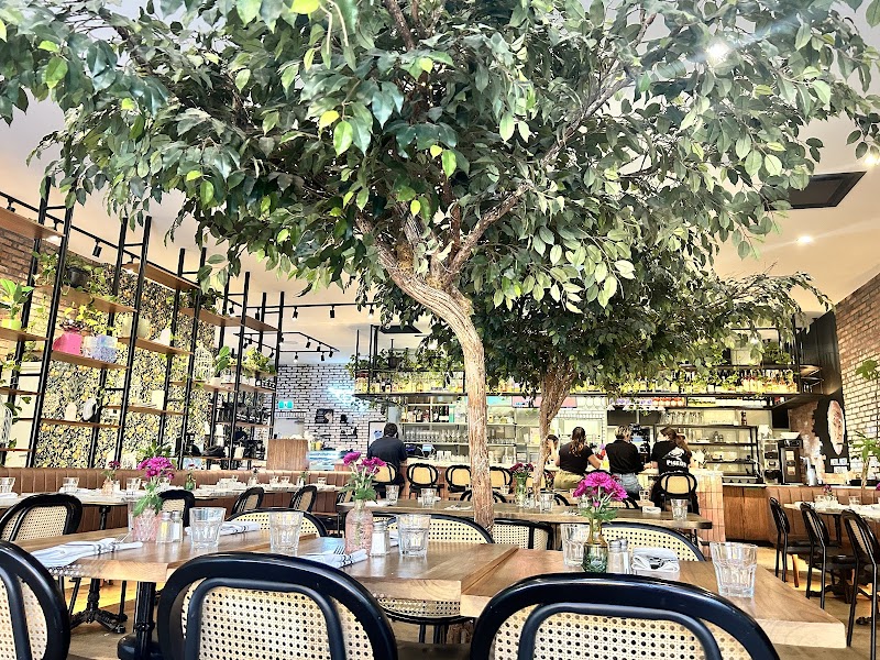 PIGEON CAFÉ & BAR photo 4