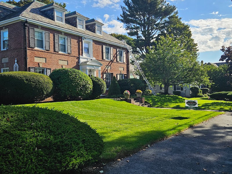 Doherty Slate Roofing photo 2