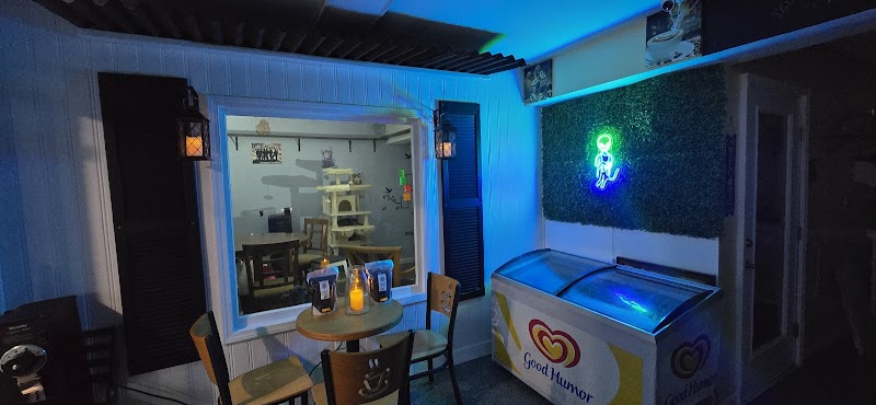 The Farmer's Cat Cafe