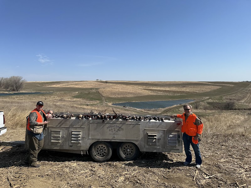 Pheasant Bonanza Hunt Club - Photo 2