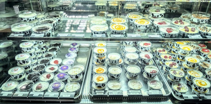 Crazy Block Cheesecakes