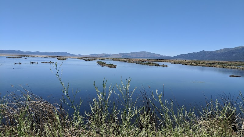 Ruby Lake National Wildlife Refuge - Photo 1