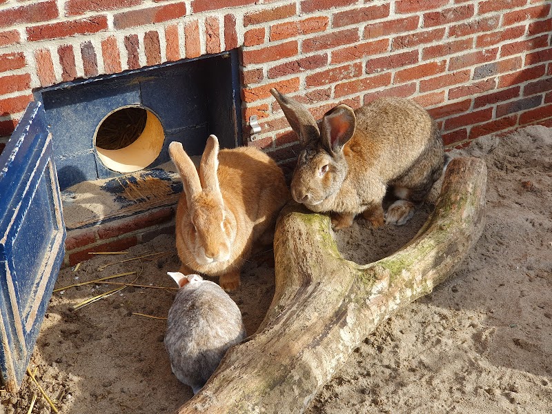 Stadsboerderij Landzigt
