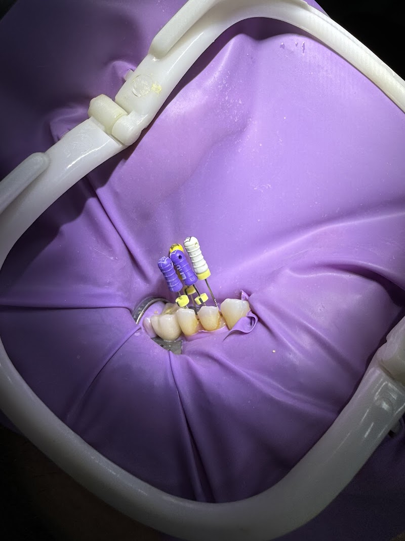 Dr. Guilherme Assed - Endodontista - foto 5