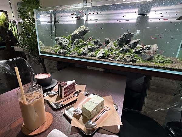 Mizuniwa Aquascape Cafe - Photo 1