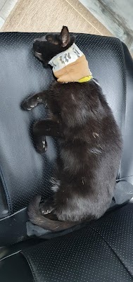 ד"ר בן איתי -מרפאה וטרינרית