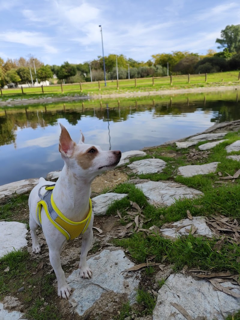 Clínica Veterinaria Híspalis