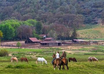 Rankin Ranch - Photo 6
