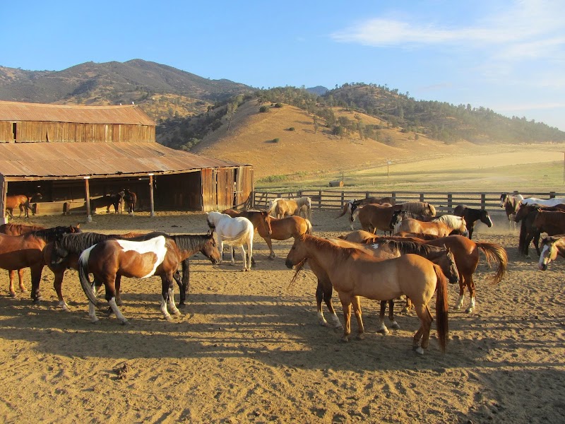 Rankin Ranch - Photo 3