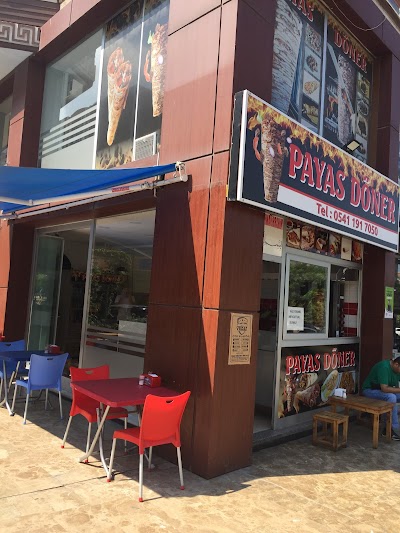 PayasDöner Salonu - Restoran