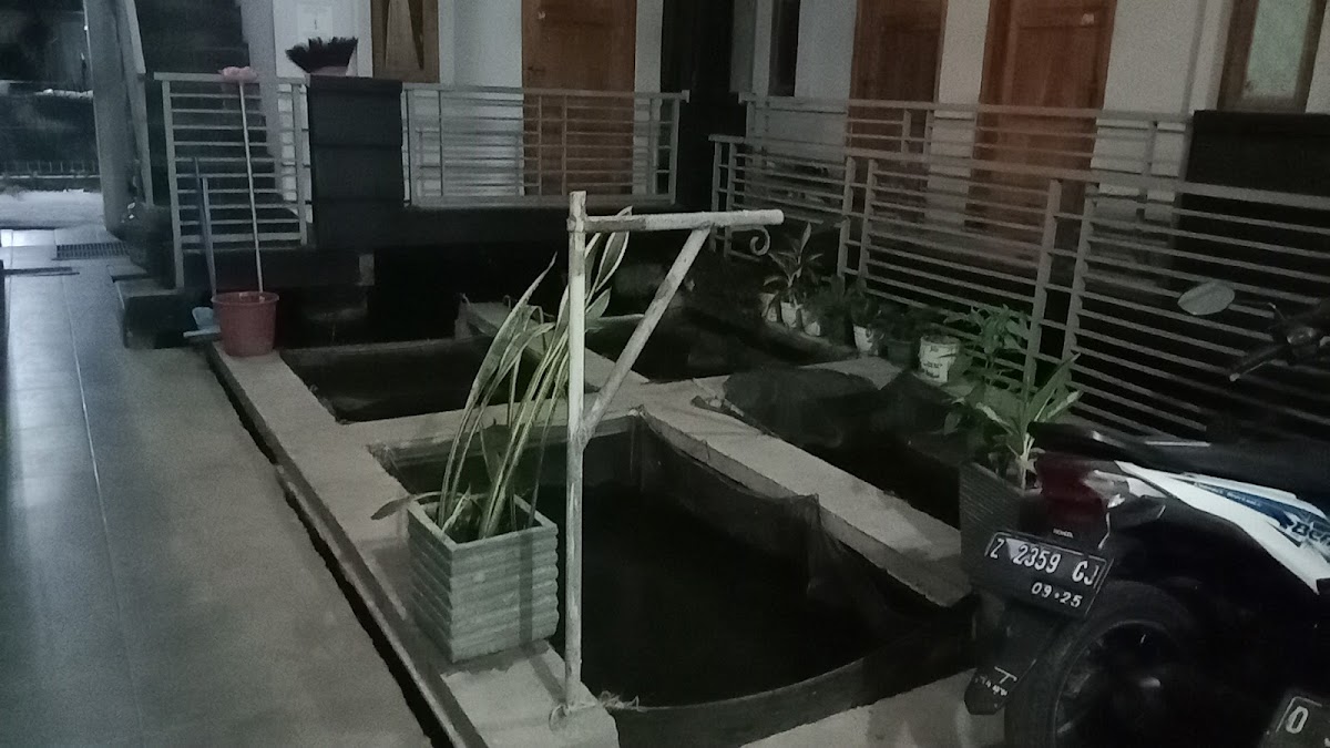 Ikan mas jati putra Dan kost putra-putri