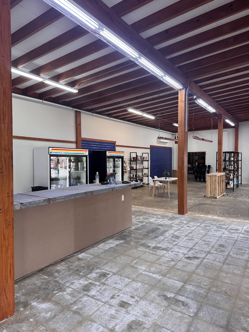 The Matriarchists photo 4