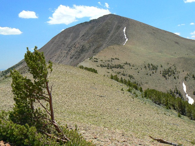 Arc Dome Wilderness